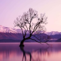 PU Castle stone antique light green brick Art Stone background wall decorative plate ultra-light inner wall brick anti-stone wall panel